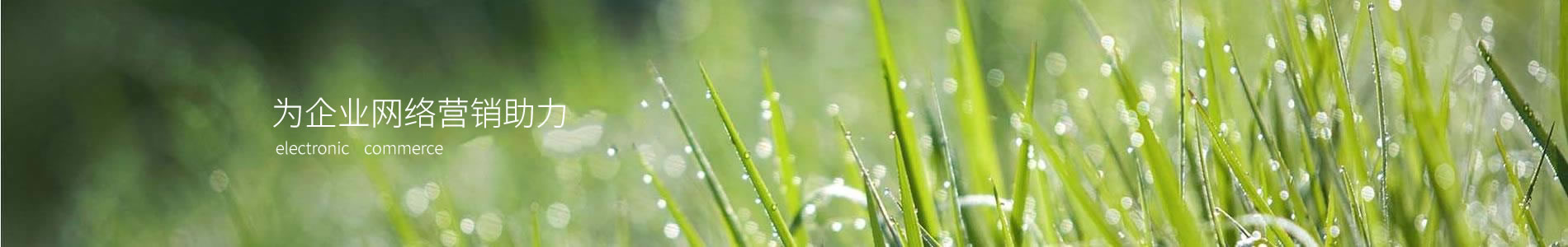кԣƼ޹˾